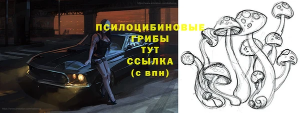 индика Беломорск