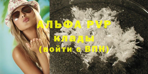 эйфоретик Аркадак