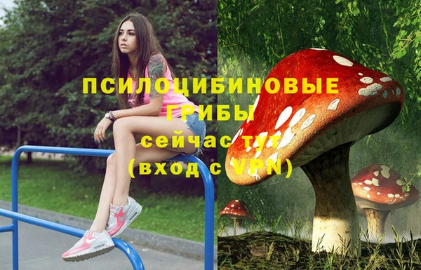 герыч Арсеньев