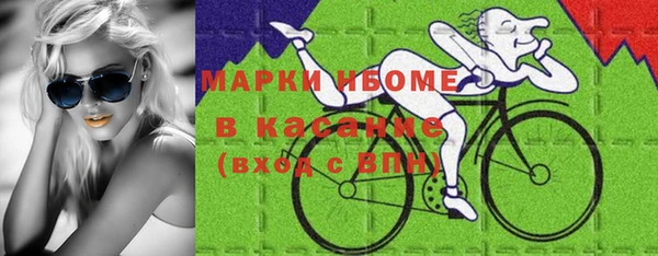 индика Беломорск