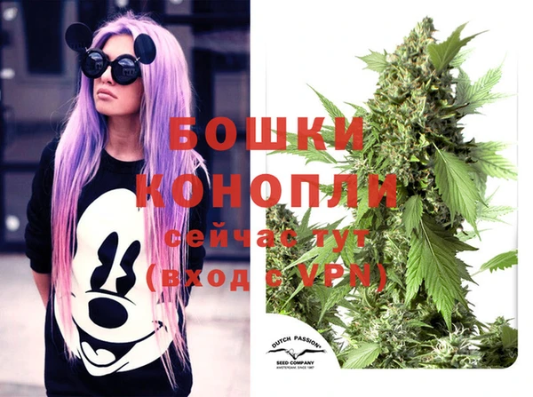 индика Беломорск