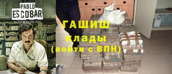 индика Беломорск